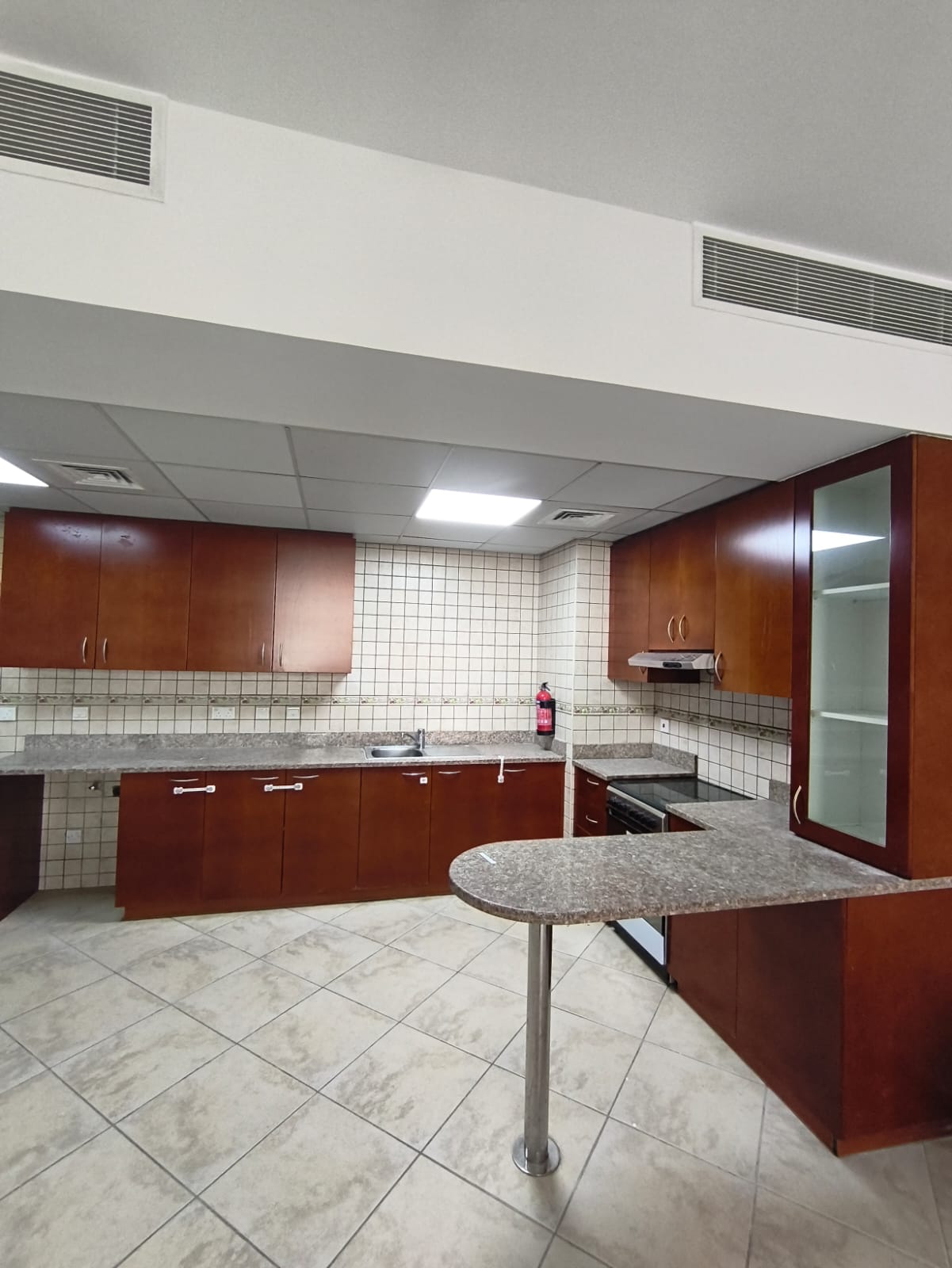 KITCHEN CABINET — before